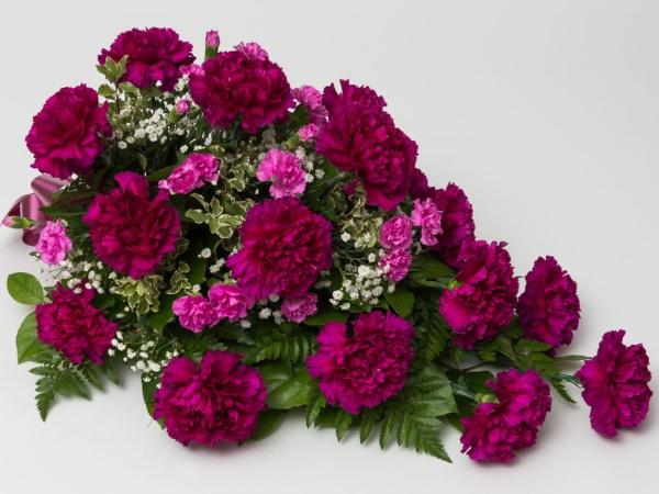 Kukkalaite 02 neilikka